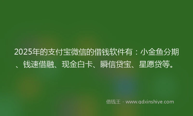 2025年的支付宝微信的借钱软件有：小金鱼分期、钱速借融、现金白卡、瞬信贷宝、星愿贷等。