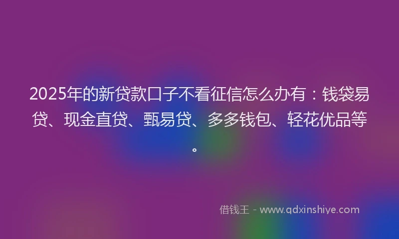 2025年的新贷款口子不看征信怎么办有：钱袋易贷、现金直贷、甄易贷、多多钱包、轻花优品等。