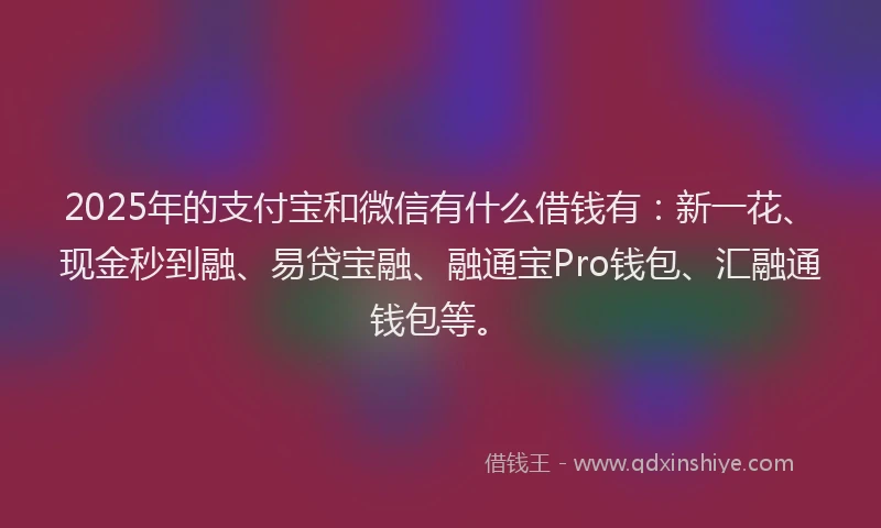 2025年的支付宝和微信有什么借钱有：新一花、现金秒到融、易贷宝融、融通宝Pro钱包、汇融通钱包等。