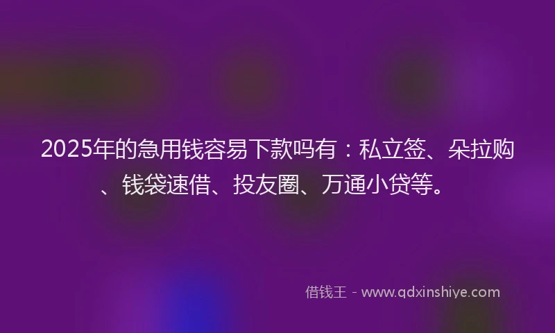 2025年的急用钱容易下款吗有：私立签、朵拉购、钱袋速借、投友圈、万通小贷等。