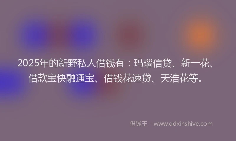 2025年的新野私人借钱有：玛瑙信贷、新一花、借款宝快融通宝、借钱花速贷、天浩花等。