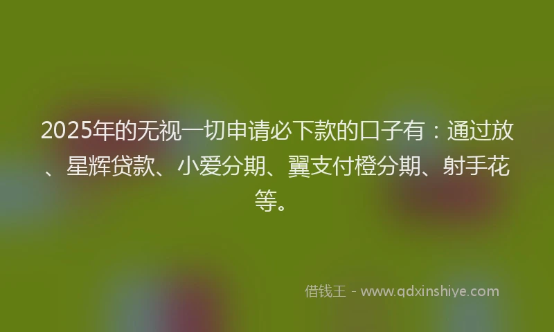 2025年的无视一切申请必下款的口子有：通过放、星辉贷款、小爱分期、翼支付橙分期、射手花等。
