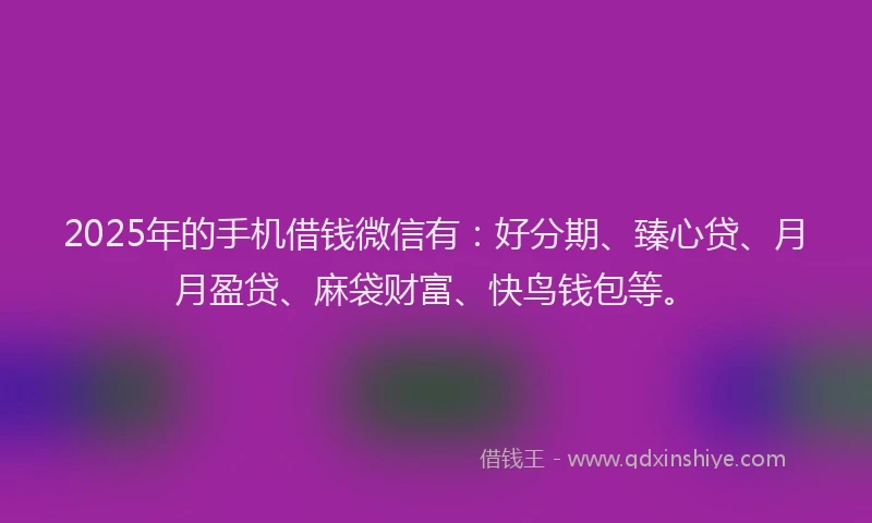 2025年的手机借钱微信有：好分期、臻心贷、月月盈贷、麻袋财富、快鸟钱包等。