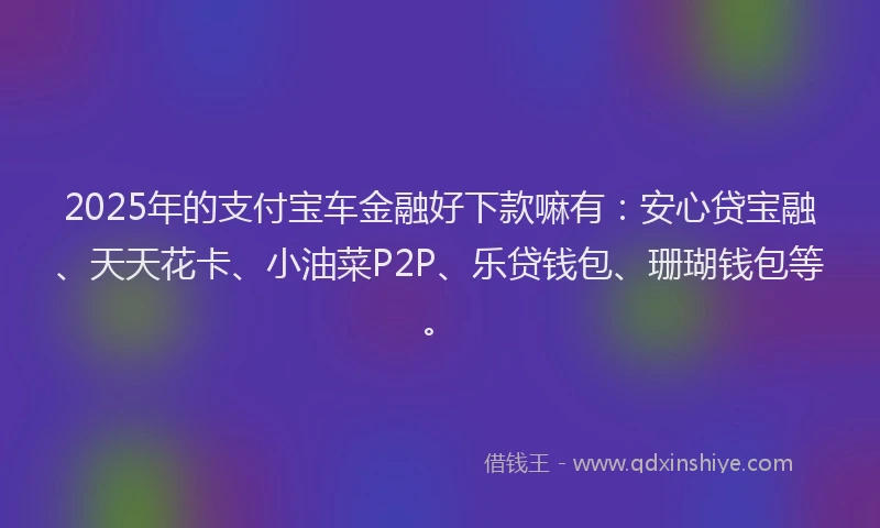 2025年的支付宝车金融好下款嘛有：安心贷宝融、天天花卡、小油菜P2P、乐贷钱包、珊瑚钱包等。