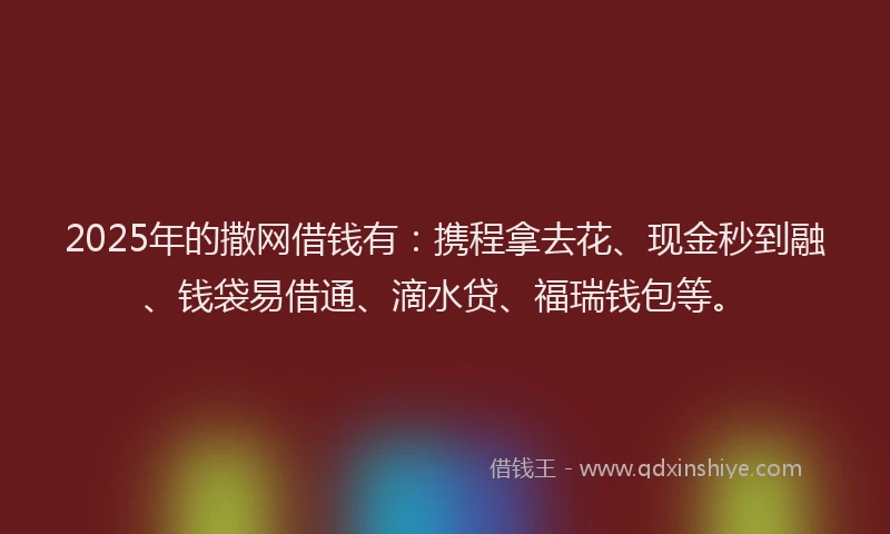 2025年的撒网借钱有：携程拿去花、现金秒到融、钱袋易借通、滴水贷、福瑞钱包等。