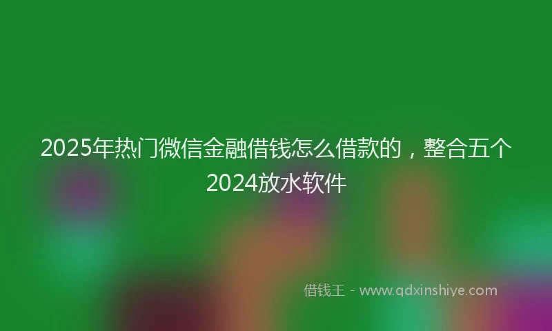 2025年热门微信金融借钱怎么借款的，整合五个2024放水软件
