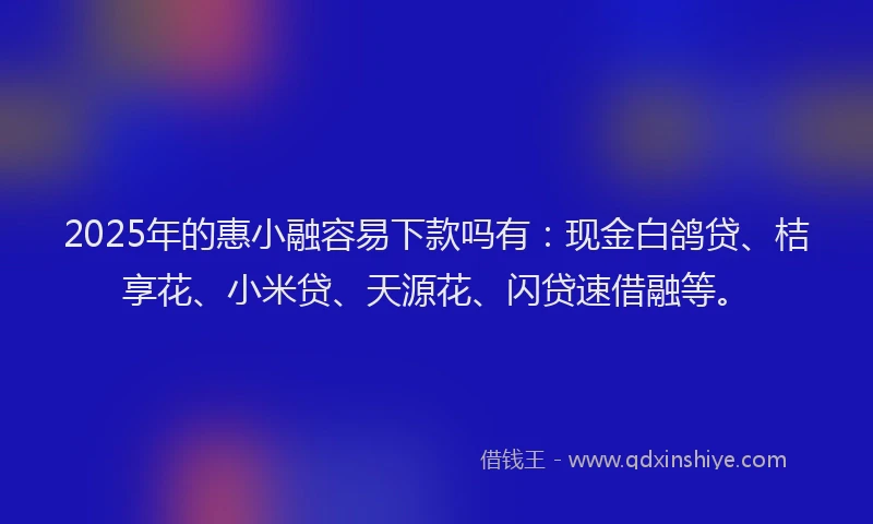 2025年的惠小融容易下款吗有：现金白鸽贷、桔享花、小米贷、天源花、闪贷速借融等。