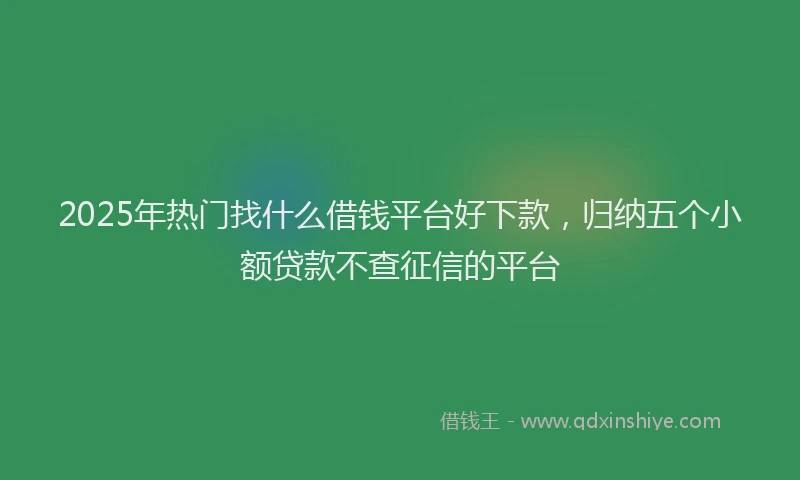 2025年热门找什么借钱平台好下款，归纳五个小额贷款不查征信的平台