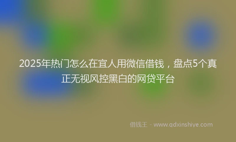 2025年热门怎么在宜人用微信借钱，盘点5个真正无视风控黑白的网贷平台