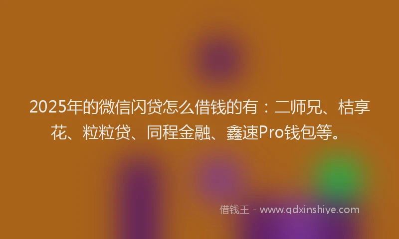 2025年的微信闪贷怎么借钱的有：二师兄、桔享花、粒粒贷、同程金融、鑫速Pro钱包等。