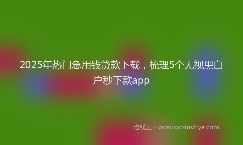 2025年热门急用钱贷款下载，梳理5个无视黑白户秒下款app