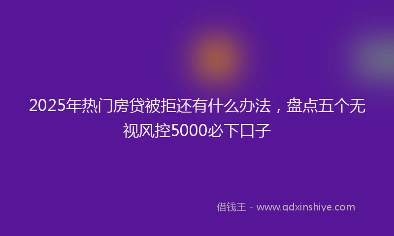2025年热门房贷被拒还有什么办法，盘点五个无视风控5000必下口子