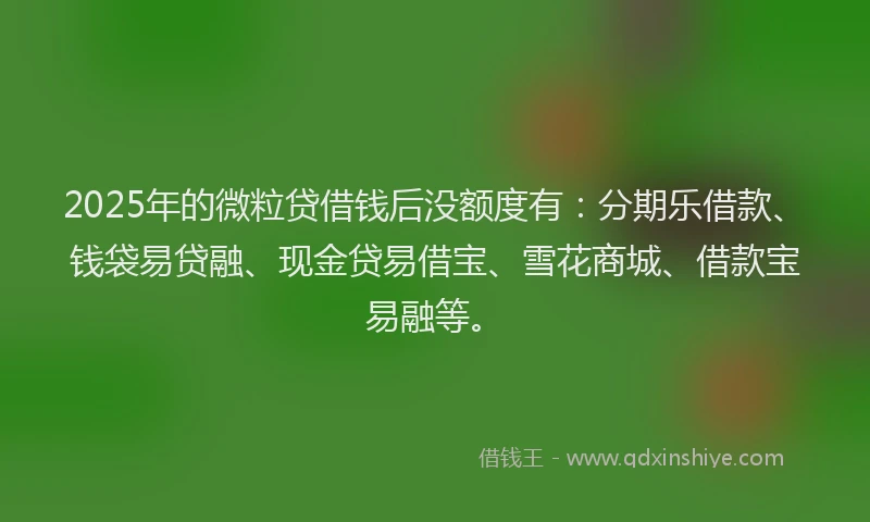 2025年的微粒贷借钱后没额度有：分期乐借款、钱袋易贷融、现金贷易借宝、雪花商城、借款宝易融等。