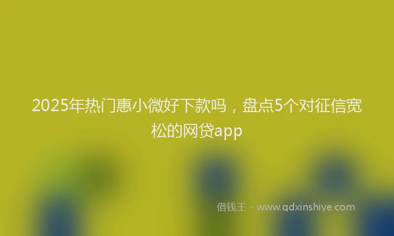 2025年热门惠小微好下款吗，盘点5个对征信宽松的网贷app