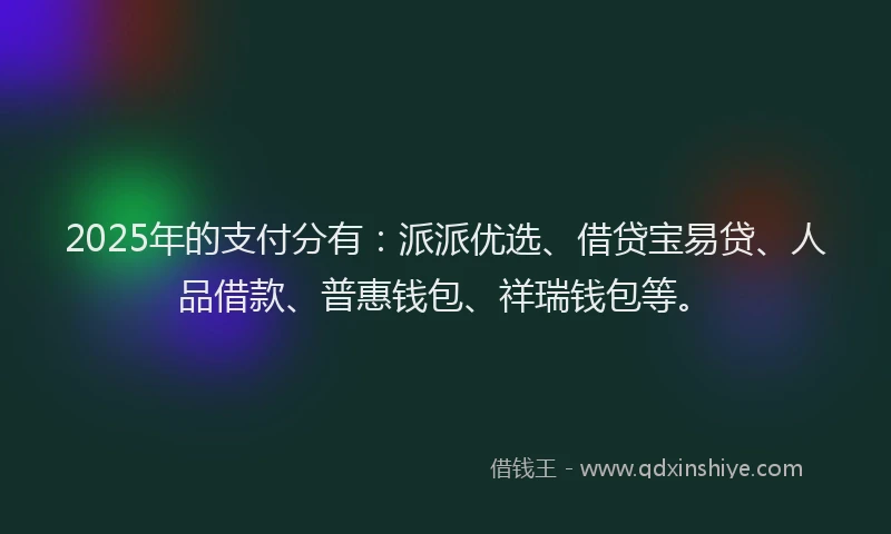 2025年的支付分有：派派优选、借贷宝易贷、人品借款、普惠钱包、祥瑞钱包等。