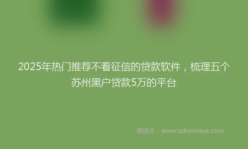 2025年热门推荐不看征信的贷款软件，梳理五个苏州黑户贷款5万的平台