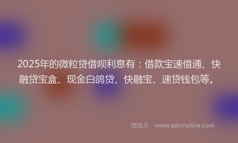 2025年的微粒贷借呗利息有：借款宝速借通、快融贷宝盒、现金白鸽贷、快融宝、速贷钱包等。