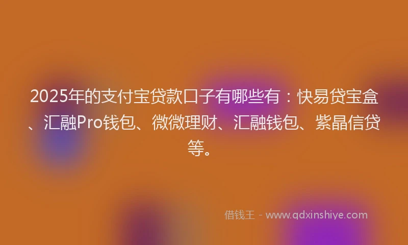 2025年的支付宝贷款口子有哪些有：快易贷宝盒、汇融Pro钱包、微微理财、汇融钱包、紫晶信贷等。