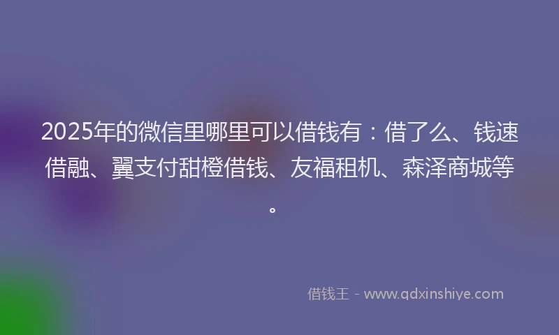 2025年的微信里哪里可以借钱有：借了么、钱速借融、翼支付甜橙借钱、友福租机、森泽商城等。