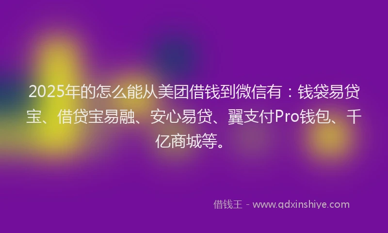 2025年的怎么能从美团借钱到微信有：钱袋易贷宝、借贷宝易融、安心易贷、翼支付Pro钱包、千亿商城等。