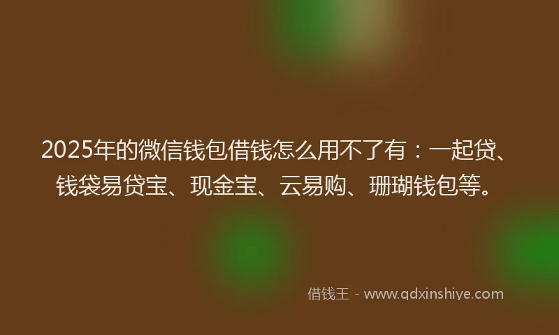 2025年的微信钱包借钱怎么用不了有：一起贷、钱袋易贷宝、现金宝、云易购、珊瑚钱包等。