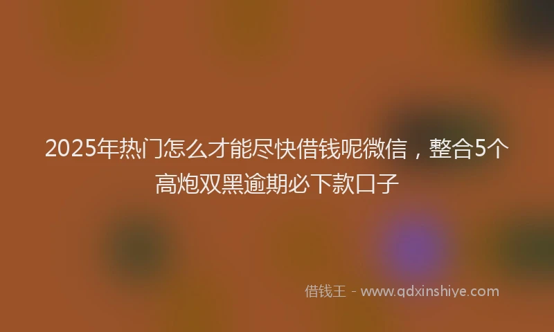 2025年热门怎么才能尽快借钱呢微信，整合5个高炮双黑逾期必下款口子