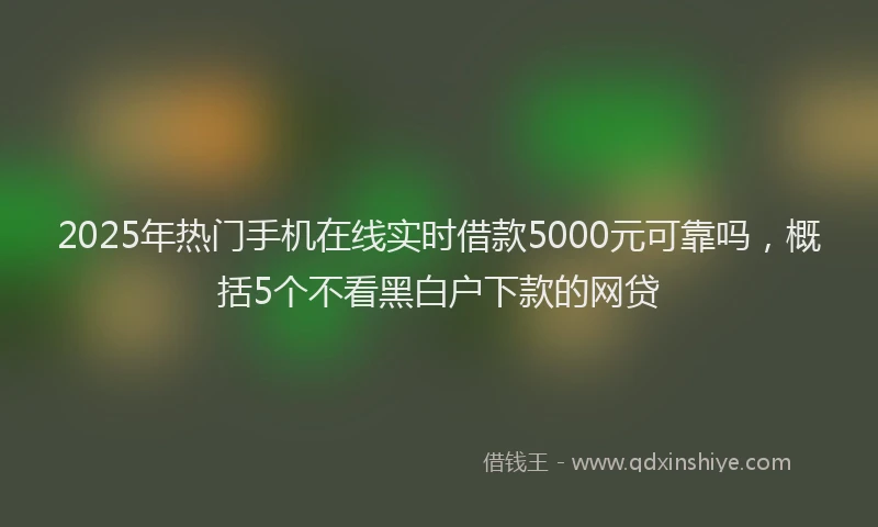 2025年热门手机在线实时借款5000元可靠吗，概括5个不看黑白户下款的网贷