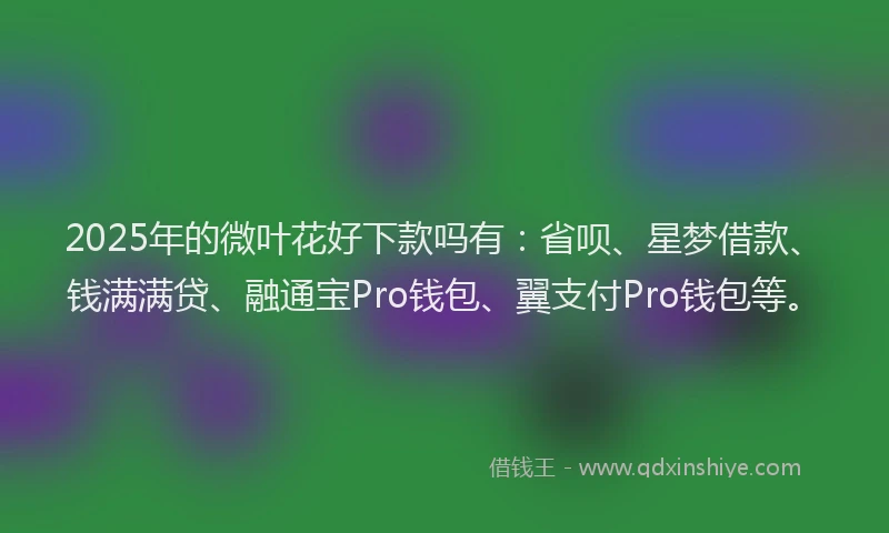 2025年的微叶花好下款吗有：省呗、星梦借款、钱满满贷、融通宝Pro钱包、翼支付Pro钱包等。