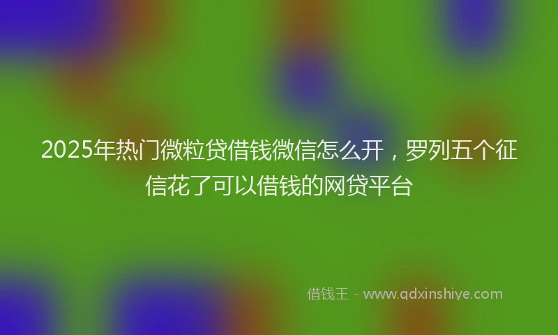 2025年热门微粒贷借钱微信怎么开，罗列五个征信花了可以借钱的网贷平台