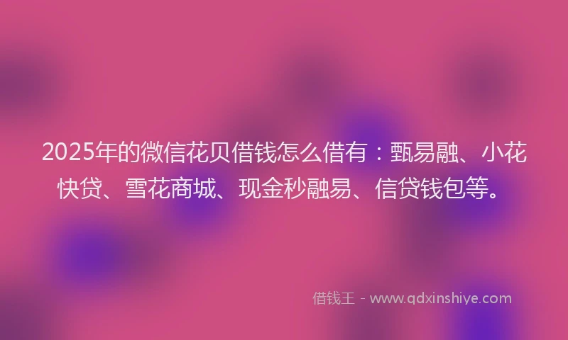 2025年的微信花贝借钱怎么借有：甄易融、小花快贷、雪花商城、现金秒融易、信贷钱包等。