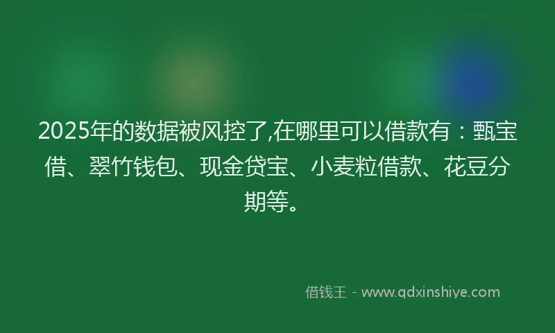 2025年的数据被风控了,在哪里可以借款有：甄宝借、翠竹钱包、现金贷宝、小麦粒借款、花豆分期等。