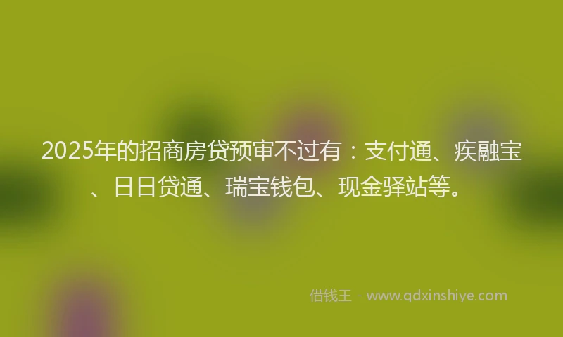 2025年的招商房贷预审不过有：支付通、疾融宝、日日贷通、瑞宝钱包、现金驿站等。