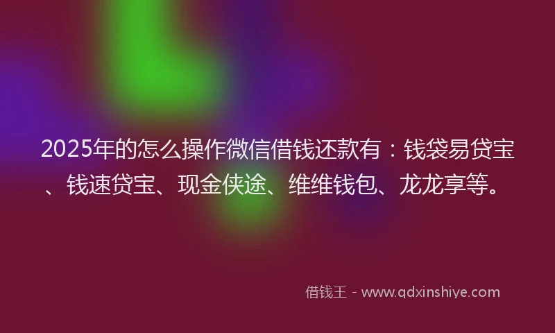 2025年的怎么操作微信借钱还款有：钱袋易贷宝、钱速贷宝、现金侠途、维维钱包、龙龙享等。