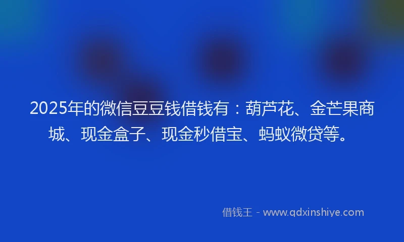 2025年的微信豆豆钱借钱有：葫芦花、金芒果商城、现金盒子、现金秒借宝、蚂蚁微贷等。