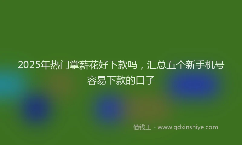 2025年热门掌薪花好下款吗，汇总五个新手机号容易下款的口子
