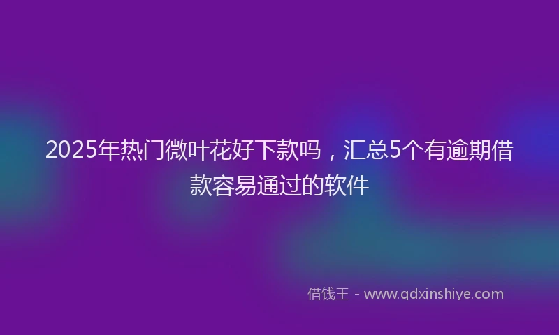 2025年热门微叶花好下款吗，汇总5个有逾期借款容易通过的软件