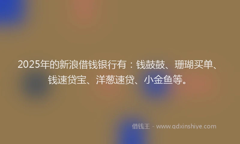 2025年的新浪借钱银行有：钱鼓鼓、珊瑚买单、钱速贷宝、洋葱速贷、小金鱼等。