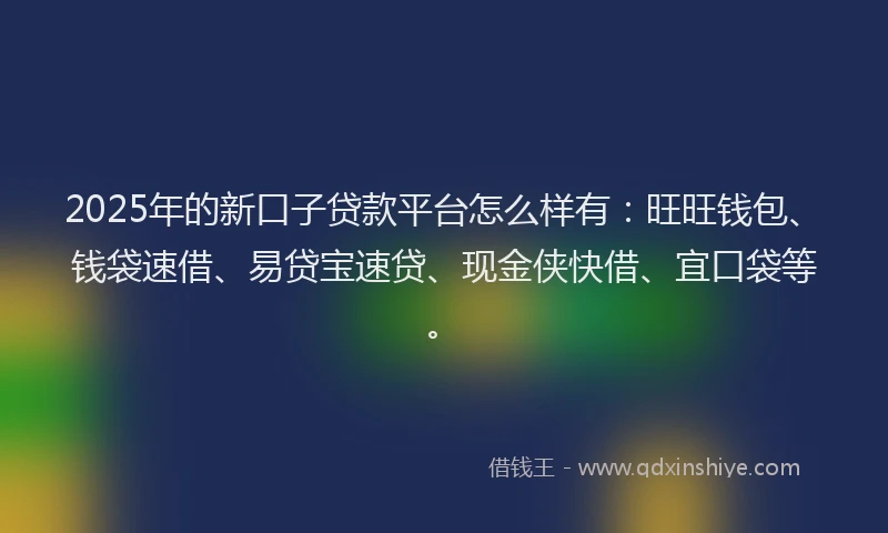 2025年的新口子贷款平台怎么样有：旺旺钱包、钱袋速借、易贷宝速贷、现金侠快借、宜口袋等。