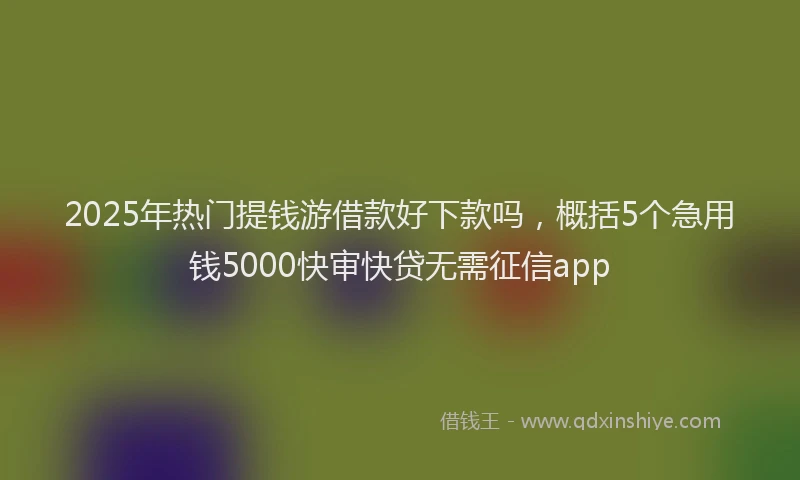 2025年热门提钱游借款好下款吗，概括5个急用钱5000快审快贷无需征信app