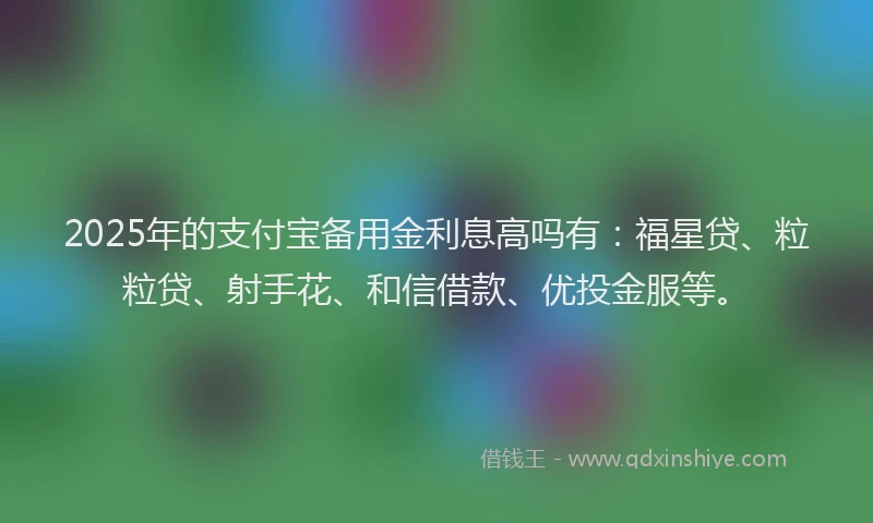 2025年的支付宝备用金利息高吗有：福星贷、粒粒贷、射手花、和信借款、优投金服等。