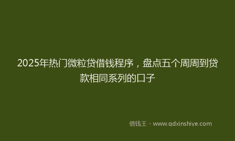 2025年热门微粒贷借钱程序，盘点五个周周到贷款相同系列的口子