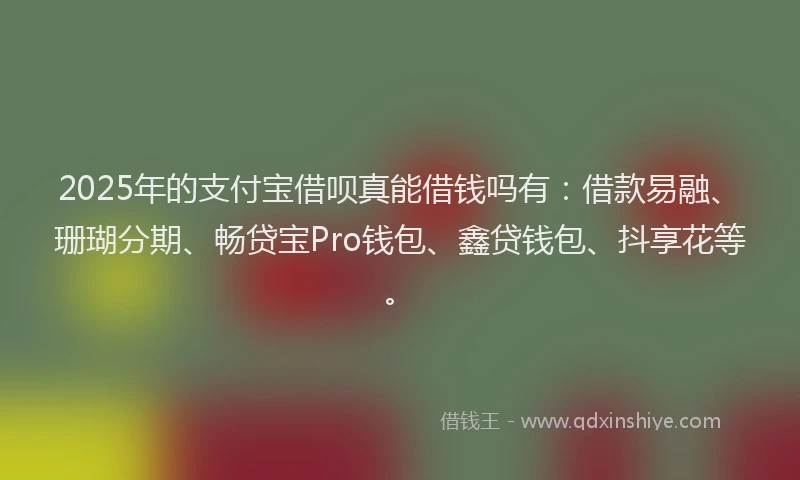 2025年的支付宝借呗真能借钱吗有：借款易融、珊瑚分期、畅贷宝Pro钱包、鑫贷钱包、抖享花等。