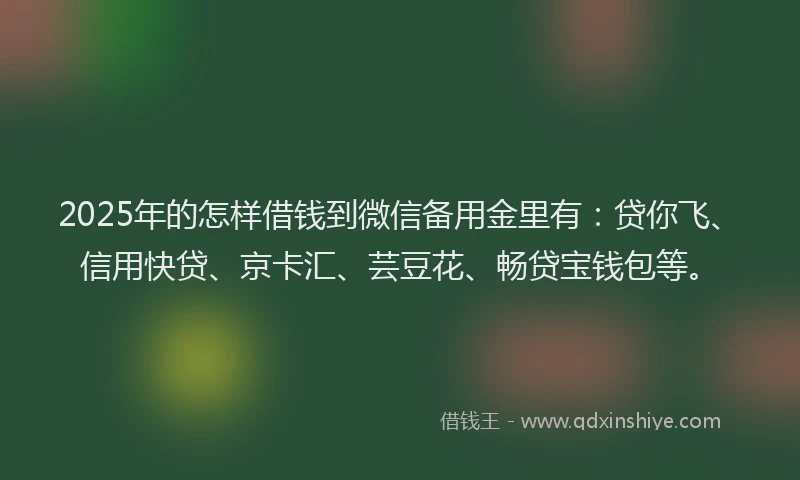 2025年的怎样借钱到微信备用金里有：贷你飞、信用快贷、京卡汇、芸豆花、畅贷宝钱包等。
