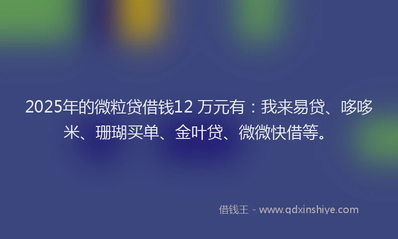 2025年的微粒贷借钱12 万元有：我来易贷、哆哆米、珊瑚买单、金叶贷、微微快借等。
