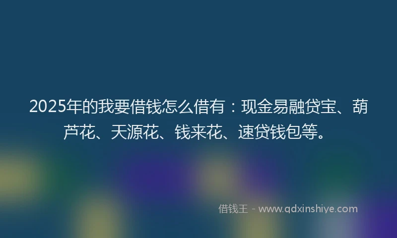 2025年的我要借钱怎么借有：现金易融贷宝、葫芦花、天源花、钱来花、速贷钱包等。