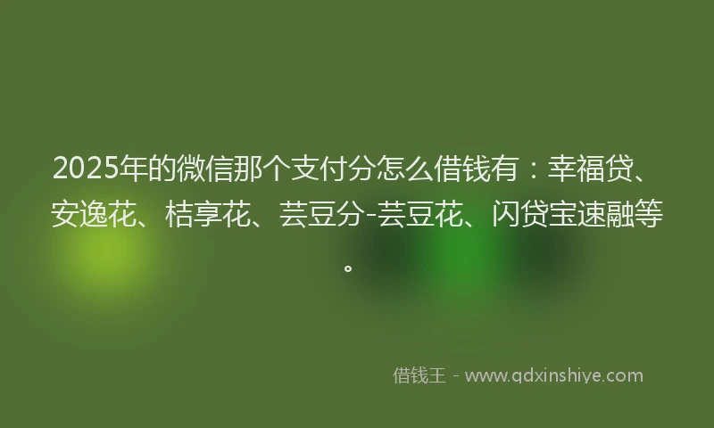 2025年的微信那个支付分怎么借钱有：幸福贷、安逸花、桔享花、芸豆分-芸豆花、闪贷宝速融等。