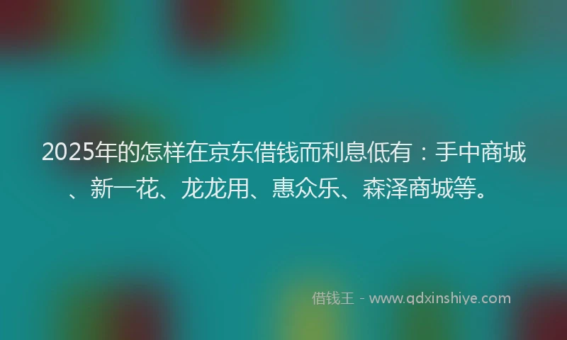 2025年的怎样在京东借钱而利息低有：手中商城、新一花、龙龙用、惠众乐、森泽商城等。