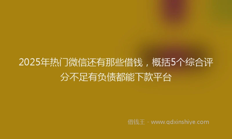 2025年热门微信还有那些借钱，概括5个综合评分不足有负债都能下款平台