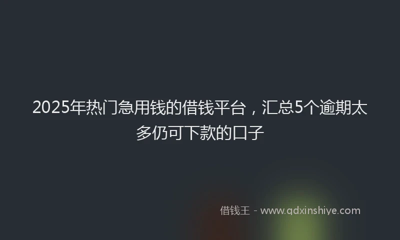 2025年热门急用钱的借钱平台，汇总5个逾期太多仍可下款的口子