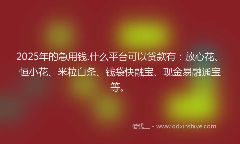 2025年的急用钱.什么平台可以贷款有：放心花、恒小花、米粒白条、钱袋快融宝、现金易融通宝等。